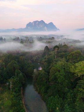 Khao Sok Ulusal Parkı 'nın nefes kesici güzelliğini tecrübe edin. Şafak sökerken yoğun yeşilliğin üzerine. Sis, manzarayı örterek huzurlu nehri ve uzaktaki görkemli dağları güçlendirir..
