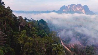 Yeşillik yemyeşil örtüler sabah sisi yükselirken Tayland, Khao Sok dağlarını örtüyor. Huzurlu bir manzara bu güzel milli parka keşif ve macera davet ediyor..