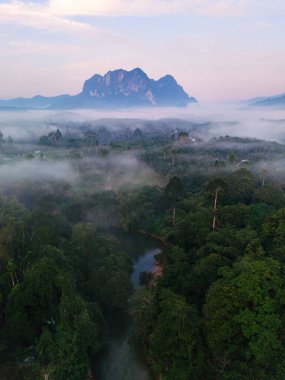 Sabahın erken saatlerinde, Tayland 'ın Khao Sok şehrinde, sislerin yoğun ormanlar ve dağların görkemli bir şekilde yükseldiği yerde. Bu sakin manzara, doğanın güzelliğini yansıtıyor. Şafak vakti sükunet..