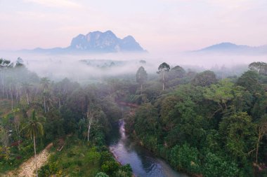 Sabah sisi, Khao Sok Ulusal Parkı 'nın verimli manzarasını örtüyor. Canlı yeşilliklerin arasından süzülen sakin bir nehri ortaya çıkarıyor. Sisli dağlar yükselir ve sakin bir atmosfer yaratır..
