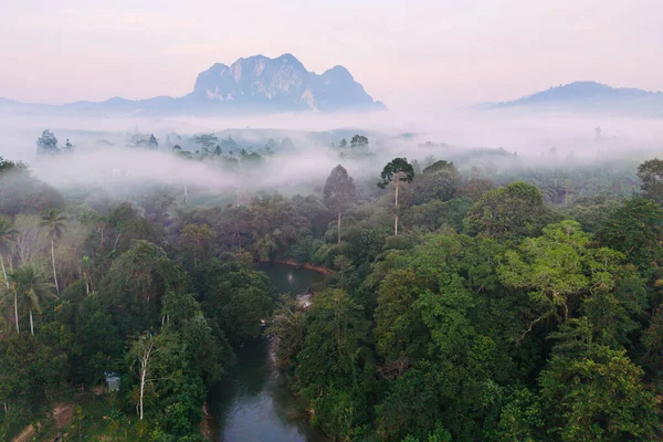Yumuşak sabah ışığı Tayland 'daki Khao Sok Ulusal Parkı' nın yemyeşil ve sisli manzarasını gözler önüne seriyor..