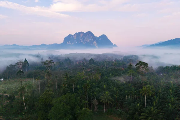 Sabahın erken saatlerinde Tayland 'ın Khao Sok kentinin üzerinde hafif bir parıltı oluşur. Sis örtüleri yeşilliği yemyeşil eder ve çarpıcı bir dağ zeminini ortaya çıkarır. Barışçıl ortam keşif ve sükuneti davet ediyor..