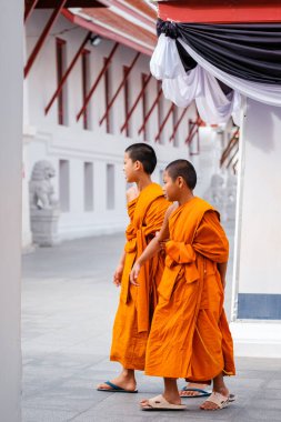 Bangkok, Thailand, 19 November 2025. Two young monks in bright orange robes stroll through the serene grounds of Wat Arun, capturing the vibrant spirit of Thailands rich culture and history.