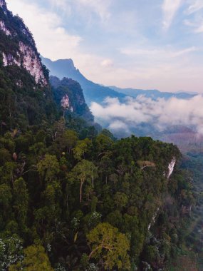 Khao Sok Ulusal Parkı Tayland 'ın göz kamaştırıcı güzelliğini tecrübe edin. Yağmur ormanları şafak vakti sisli dağlarla buluşur. Canlı yeşiller yumuşak bulutlarla tezat oluşturarak sakin bir atmosfer yaratıyor..