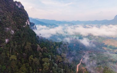 Yeşilliğin dramatik dağlarla buluştuğu Tayland 'daki Khao Sok Ulusal Parkı' nın çarpıcı manzarasına atılın. Sabahın erken saatlerinde sis, bu doğa harikasına büyüleyici bir dokunuş ekler..