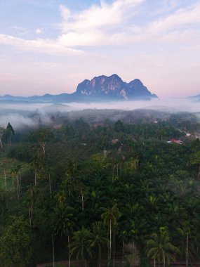 Tayland, Khao Sok 'ta nefes kesen bir manzarayla uyanmak, yükselen dağların, canlı yeşillik ve sükunetle çevrili bir sis denizinden doğduğu yer. Doğanın güzelliği gözler önünde..