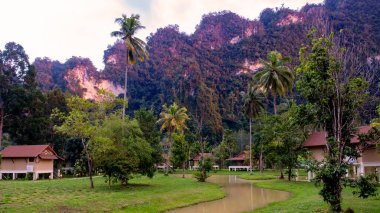 Khao Sok, Tayland 'da çarpıcı bir manzara tropikal ağaçlar, dingin su havuzları ve görkemli kireçtaşı dağları sergileniyor.