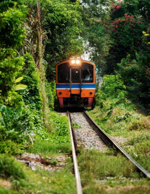 Canlı bir tren, Bangkok 'un Talat Phlu kentindeki bereketli bitki örtüsüyle çevrili demiryolu boyunca ilerliyor. Şehir cazibesiyle doğayı birleştiriyor, Tayland 'ın eşsiz taşıma manzarasını sergiliyor..