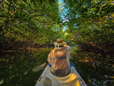 Bereketli mangrovlarla çevrili sakin sularda kürek çeken bir kanocu gün batımında Koh Phayam Adası 'nın doğal güzelliğini kucaklayarak bu çarpıcı tropikal cennetin huzur ve sessizliğinin tadını çıkarıyor..