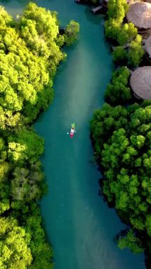 Canlı mangrov ormanlarıyla çevrili Koh Phayam 'ın sakin yeşil sularında kürek çek. Huzurlu bir öğleden sonra boyunca bu huzurlu Tayland ortamında doğanın güzelliğini hissedin..