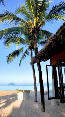 Tayland, Koh Phayam 'ın el değmemiş sularına hafifçe esen meltemde sallanan palmiye ağaçlarının tadını çıkar. Bu cennet huzurlu bir kaçış ve çarpıcı bir doğal güzellik sunuyor..