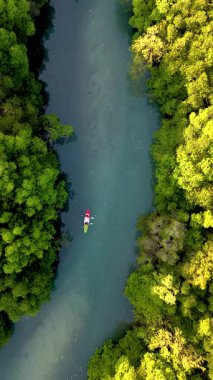 Kayakçılar, bereketli mangrov ağaçları ve doğanın güzelliğiyle çevrili Koh Phayam 'ın sakin sularında huzur içinde süzülüyorlar. Güneş ışığı yaprakların arasından süzülür ve canlı bir deneyim yaratır..