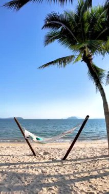Tayland, Koh Phayam 'da el değmemiş bir plajda palmiye ağaçları arasında sallanan sakin bir hamak. Açık mavi gökyüzü ve dingin dalgalar rahatlamak için mükemmel bir ortam yaratır..