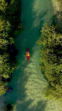 Canlı bir kano Koh Phayams mangrov ormanlarının sakin sularında süzülüyor. Yeşillik, bankaları çevreleyerek, barışçıl bir kaçış sağlıyor. Gün batımının yumuşak parıltısı sakin atmosferi güçlendirir..
