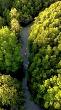 Tayland 'ın Koh Phayam kentindeki yemyeşil mangrovlarla çevrili sakin su yollarında kürek çekin. İki kanocu bu huzurlu cenneti dolaşırken doğayı yakından deneyin..