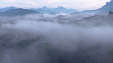 Tayland 'da Khao Sok Ulusal Parkı' nın sislerle kaplı sakin manzaralarını keşfedin. Bu nefes kesici alan alan alan, yüksek dağları ve sık ormanları gözler önüne seriyor, şafak vakti huzurlu bir cennet yaratıyor..