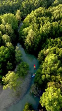 Kürekçiler, verimli mangrovlar ve canlı yeşilliklerle çevrili Koh Phayam, Tayland 'ın sakin sularında süzülüyorlar. Bu huzurlu cennette çarpıcı bir tropikal ekosistem keşfedilmeyi bekliyor..