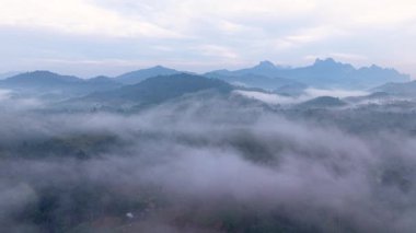 Tayland, Khao Sok 'ta nefes kesici sisli sabahlar, sisli bir battaniyenin üzerinde yemyeşil dağlar yükselir..