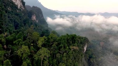 Yoğun yağmur ormanı ve çarpıcı kireçtaşı kayalıklarıyla Tayland, Khao Sok 'un güzelliğini içine çek. Sabahın erken saatlerinde etrafı sisle kaplayan huzurlu atmosferi hissedin..