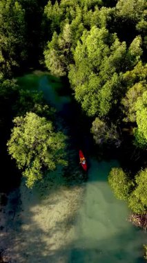 Koh Phayam, Tayland 'ın gür mangrov ormanlarına gidin, orada canlı yeşillikler sakin sularla buluşur. Issız bir kano, sakin manzarada süzülür, keşfi davet eder..