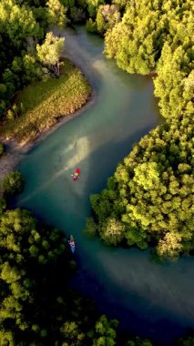 Kürekçiler, Koh Phayam 'daki canlı yeşil mangrovlarla çevrili dalgalı nehirler boyunca süzülüyor. Tayland 'daki bu gizli mücevherin sükunetini ve doğal güzelliğini tecrübe et..