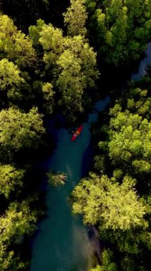 Tayland 'da yemyeşil mangrovlarda kürek çekerken Koh Phayam' ın huzurlu güzelliğini keşfedin..