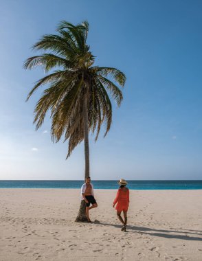 İki arkadaş, Kartal Sahili, Aruba 'da, yumuşak beyaz kum ve güzel Karayip Denizi ile çevrili uzun bir palmiye ağacının altında dinleniyor..
