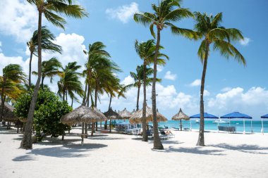 Palm Beach, Noord, Aruba 'nın dinginliğini hisset. Palmiye ağaçları ılık esintide hafifçe sallanıyor..