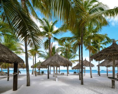 Palm Beach Aruba 'da sakin bir öğleden sonranın tadını çıkar. Rüzgarda sallanan canlı palmiyeler yumuşak, beyaz kumların yanında. Sakin atmosfer ve çarpıcı manzaralar mükemmel bir tatil yeri oluşturuyor..
