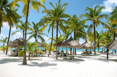 Beyaz kumlu plajlar ve sallanan palmiye ağaçları Palm Beach Aruba 'nın güzelliğini tanımlar. Ziyaretçiler hamaklarda dinleniyor ve hareketli atmosferin tadını çıkarıyorlar. Tropik bir tatil için mükemmel..