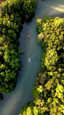 Tayland, Koh Phayam 'daki çarpıcı mangrov ormanlarında kano kullanmanın huzurunu yaşayın. Parlak renkli kanolar canlı yeşilliklerle çevrili berrak sularda yavaşça süzülür..