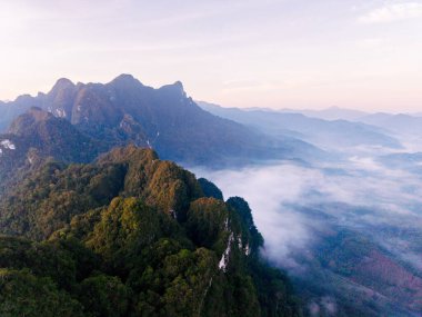 Şafak vakti Tayland 'daki Khao Sok Ulusal Parkı' nın çarpıcı manzarasını keşfedin..