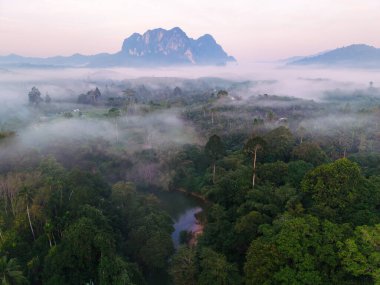 Khao Sok 'un çarpıcı manzarasının ortasında kalın sis, yağmur ormanlarını örtüyor ve şafak vakti yükselen dağları ortaya çıkarıyor. Sahnenin dinginliği, doğanın güzelliğini yansıtıyor. Sabah uyanması..