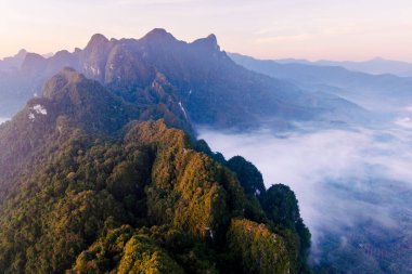 Şafak vakti Khao Sok Ulusal Parkı Tayland 'ın nefes kesici manzarası, yüksek dağların dingin sisle buluştuğu yer. Yeşillik ve çarpıcı doğal güzellik macera arayanları keşfetmeye davet eder..