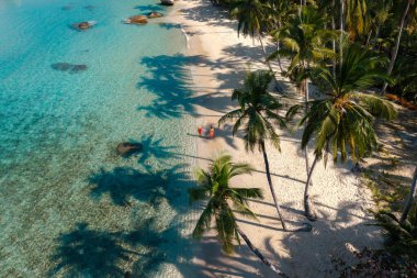 Bir çift, Ao Noi Sahili 'nin yumuşak kumlarında, uzun palmiye ağaçları ve Koh Kood, Tayland' daki canlı turkuaz denizle çevrili, güneşli bir günde huzurlu bir anın tadını çıkarıyor..