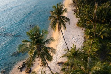 Koh Kood, Tayland 'daki Takhian Sahili' nin dingin cazibesini deneyin. Orada altın kumlar parlak mavi bir gökyüzü altında gür palmiye ağaçlarıyla buluşur ve onu rahatlama ve macera için ideal bir tatil yeri haline getirir..