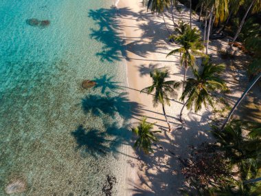 Koh Kood, Tayland 'daki Ao Noi Sahili' nin sakinliğini deneyin, kristal berrak suların yumuşak kumlu kıyılarla buluştuğu, yemyeşil hindistan cevizi palmiyeleri tarafından çerçevelenmiş. Tropik bir tatil için mükemmel bir kaçış..