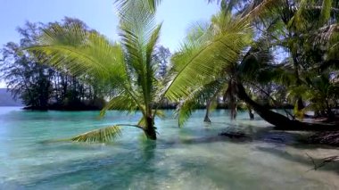 Koh Kood, Tayland 'ın nefes kesici güzelliğini keşfedin. Hafif dalgalar kıyıya vururken, canlı palmiye ağaçları güneş ışığında dans ediyor, gezginleri dinlenmeye ve cennetin tadını çıkarmaya davet ediyor..