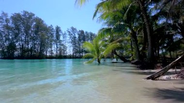 Dalgalar yumuşak sahili nazikçe sarıyor palmiye ağaçları ılık esintide sallanırken. Canlı turkuaz sular güneş ışığını yansıtıyor, ziyaretçileri Koh Kood Tayland sahillerinin sakinliğini kucaklamaya davet ediyor..