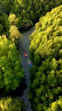 Kürekçiler Tayland 'ın Koh Phayam kentindeki canlı yeşilliklerle çevrili sakin su yollarını keşfediyorlar. Doğanın güzelliği bu tropik cennete rahatlama ve macera davet ediyor..