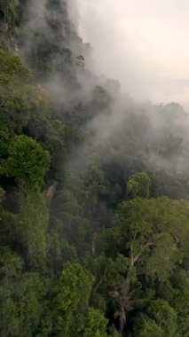 Kendinizi Khao Sok Ulusal Parkı Tayland 'ın nefes kesici güzelliğine daldırın. Sisin içindeki yemyeşil ormanlar macera ve keşif için mükemmel büyülü bir atmosfer yaratır..