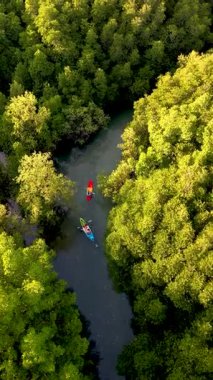 Koh Phayam, Tayland 'ın sakin su yollarını keşfedin. Renkli kanolar canlı mangrov ormanlarında süzülerek doğal güzelliklere barışçıl bir kaçış yaratırlar..