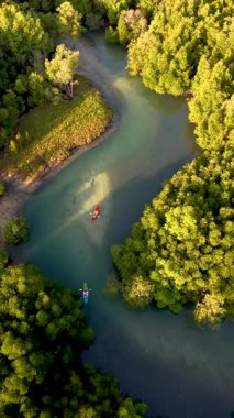 Koh Phayam 'ın güzelliğini yaşayın. Kano sahipleri kıvrımlı mangrov nehirlerinde süzülüyor. Çevrelerinde canlı yeşil yapraklar var. Bu tropik cennet Tayland 'da macera ve sükuneti davet ediyor.