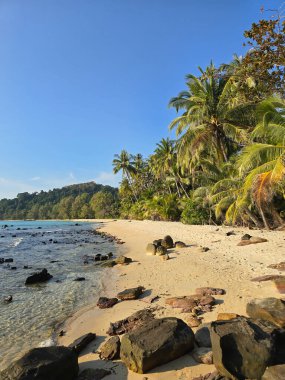Tayland 'ın Koh Kood kentindeki Takhian Sahili' nin dingin güzelliğini keşfedin. Yumuşak kumlar kristal berraklığında sularla buluşur, yemyeşil palmiye ağaçları ve çarpıcı kaya oluşumlarıyla çevrilidir..