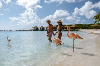 Resimli bir Aruba plajında çiftler el ele yürürken hafif dalgalar kıyıya vurur. Canlı flamingolar parlak mavi bir gökyüzünün altında sığ sularda yürürler ve mükemmel bir tatil sahnesi yaratırlar..