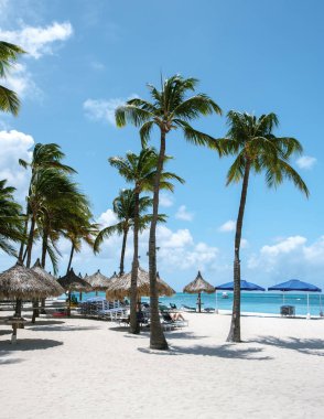 Kum Palm Beach, Noord, Aruba 'daki sahil şeridi boyunca davetkar bir şekilde uzanır. Tomurcuklanan palmiye ağaçları, ziyaretçiler sazdan kulübelerin altında dinlenirken, ılık Karayip güneşinin ve huzurlu atmosferin tadını çıkarırken nazikçe sallanıyor..