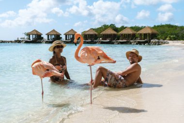 İki ziyaretçi flamingolarla çevrili sıcak Karayip sularının tadını çıkarırken Aruba 'da rahatlama ve macera buluşuyor. Muhteşem plaj büyüleyici kulübelere sahip. Bu da onu mükemmel bir tatil yeri yapıyor..