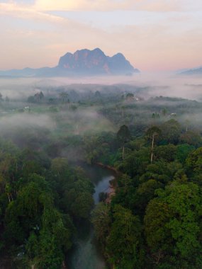 Tayland, Thani 'deki Khao Sok Ulusal Parkı' nın nefes kesici manzarasını keşfedin. Sabahın erken saatlerinde sisler yemyeşil yeşillikleri örtüyor. Nehir ormanda süzülürken sakin bir atmosfer yaratıyor..