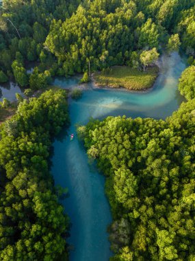 Koh Phayam 'ın dingin güzelliğini bir kanonun yemyeşil mangrovlar ve göz kamaştırıcı turkuaz sularda süzülüşünü yaşayın. Bu çarpıcı manzara doğada macera ve rahatlamaya davetiye çıkarıyor..