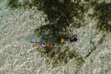 İki şnorkelli zarif bir şekilde Grand Anse Sahili 'nin berrak turkuaz sularında süzülür. Güneşli deniz tabanında renkli deniz canlılarıyla karşılaşırlar. Praslin, Seyşeller